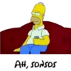 Simpsons 17