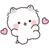 Lovely Fluffy Cat 1 11