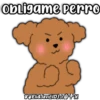 Caniche Dog🐕🇵🇪 22