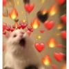modo uwu 11