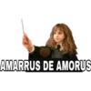 Harry Potter 2 19