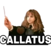 Harry Potter 2 21