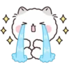 Lovely Fluffy Cat 1 12