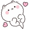 Lovely Fluffy Cat 1 13