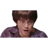 Harry Potter 2 22
