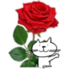 د
@lexa