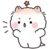 Lovely Fluffy Cat 1 15