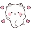 Lovely Fluffy Cat 1 17