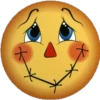 ж х