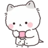 Lovely Fluffy Cat 1 19