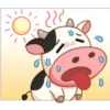 cow 11