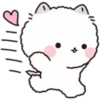Lovely Fluffy Cat 1 21
