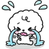 ︎puppy︎ 22
