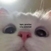 modo uwu 16