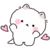 Lovely Fluffy Cat 1 27