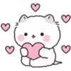 Lovely Fluffy Cat 1 28