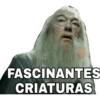 Harry Potter 2 30