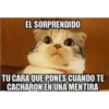 EL SORPRENDIDO
TU CARA QUE PONES CUANDO TE
CACHARON EN UNA MENTIRA