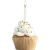 Food - Cupcakes 6