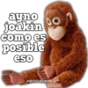 ayno
joakin
como es
posible
eso
@BOSHADDER