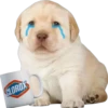 PERRITO PACK 9 5