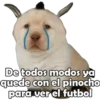 PERRITO PACK 9 6