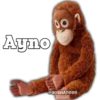 Ayno
@BOSHADDER