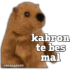 kabron
te bes
mal
@BOSHADDER