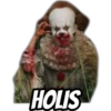 HOLIS