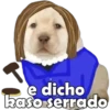 PERRITO PACK 9 7