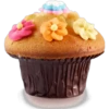 Food - Cupcakes 10