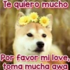 Perritos Con Frases Pendejas 7