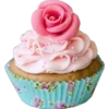 Food - Cupcakes 12