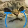 Mas Gatitos [PM] 7