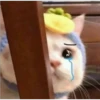 Mas Gatitos [PM] 8