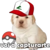 PERRITO PACK 9 8