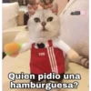 Gatos UwU🐈🍃💜 10