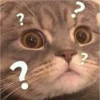 Mas Gatitos [PM] 11