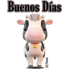 Buenos Días
@lexa