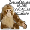 kuentame
pues
ccigada
madre
@BOSHADDER