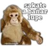 sakate
a bañar
lupe
@BOSHADDER