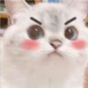 Mas Gatitos [PM] 13