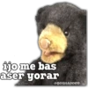 ijo me bas
aser yorar
@BOSHADDER