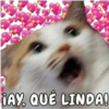 IAY, QUÉ LINDA!