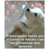 Perritos☆♡ 2 17