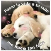 Perritos☆♡ 2 18