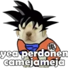 PERRITO PACK 9 14
