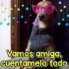 Perritos Con Frases Pendejas 15