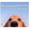 Perritos☆♡ 2 19