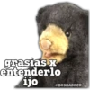 grasias x
entenderlo
ijo
@BOSHADDER